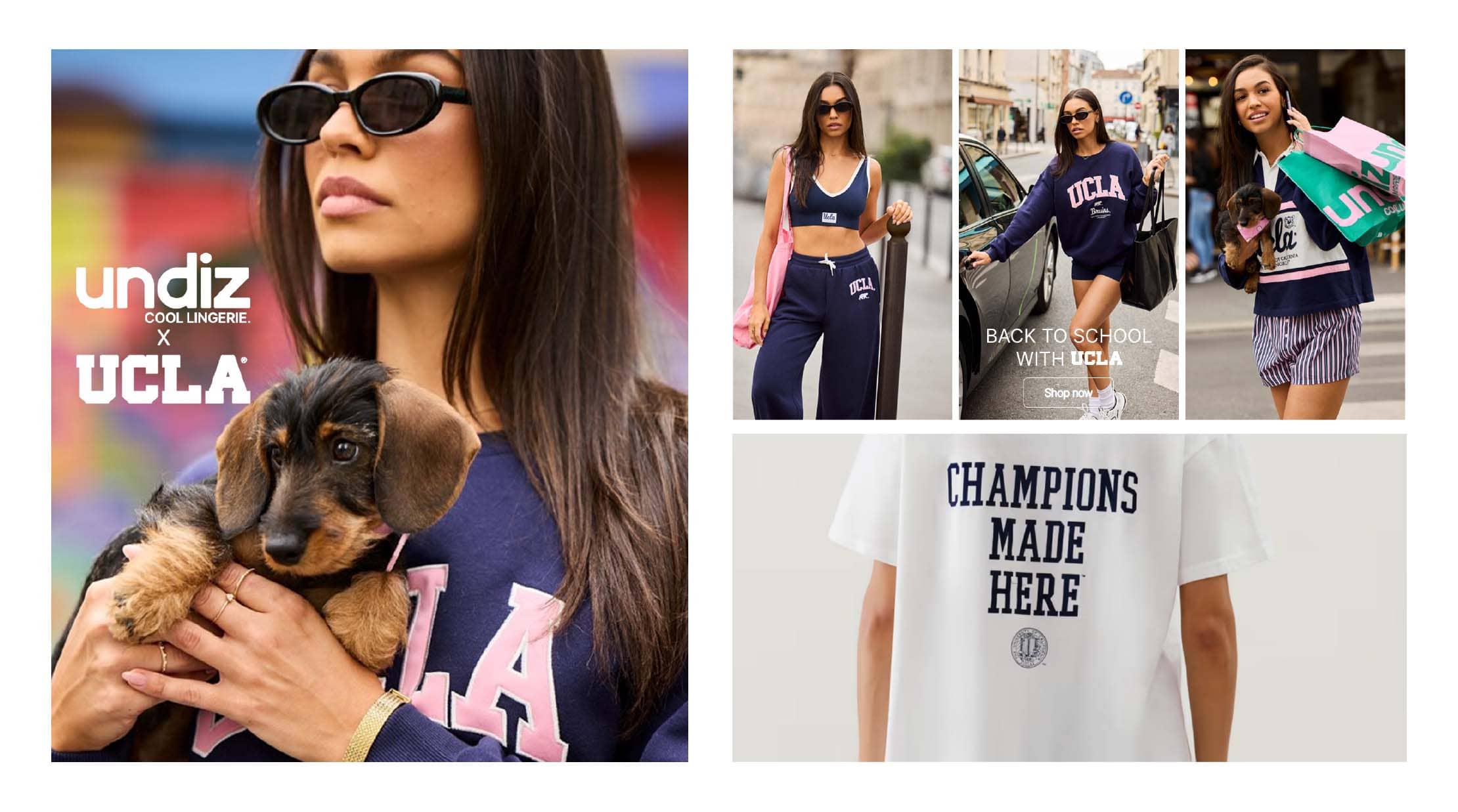 Undiz x UCLA | Lit Licens
